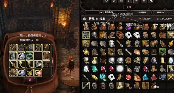 《神界：原罪2》背包使用指南背包整理实用技巧分享