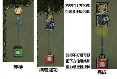 《缺氧》三眼鱼捕捉装置搭建指南如何捕捉三眼鱼？