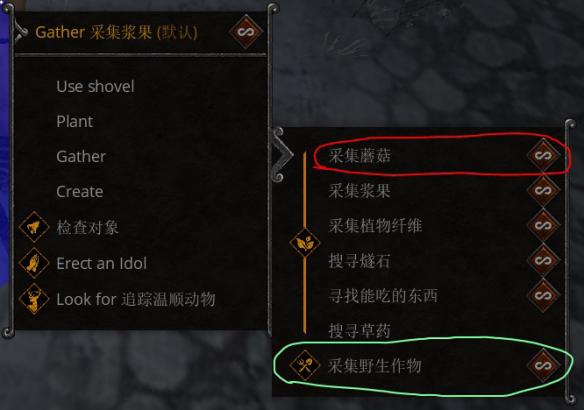 《领地人生:MMO》林业路线快速升级技巧指南林业路线如何高效升级？