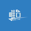 唯合优税安卓直装版
