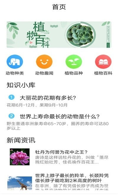 植物品鉴