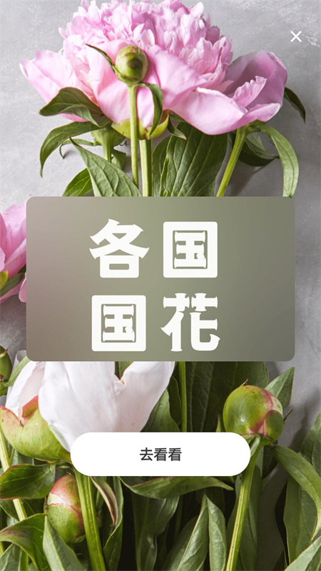 照片转动漫图2