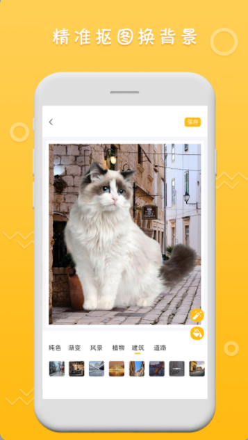gif原版图3