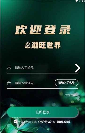 湘旺世界图1