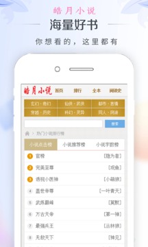 皓月小说正版