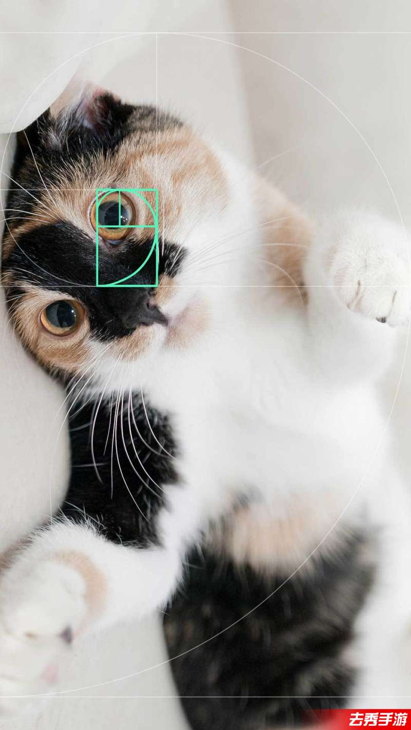 Cam原版图3