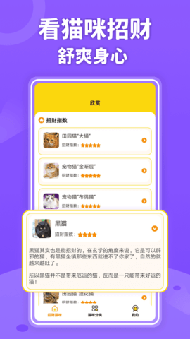 招财进猫通用版图3