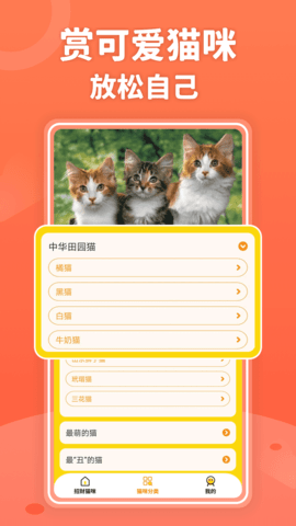 招财进猫通用版图2