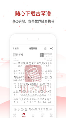 国琴网图3