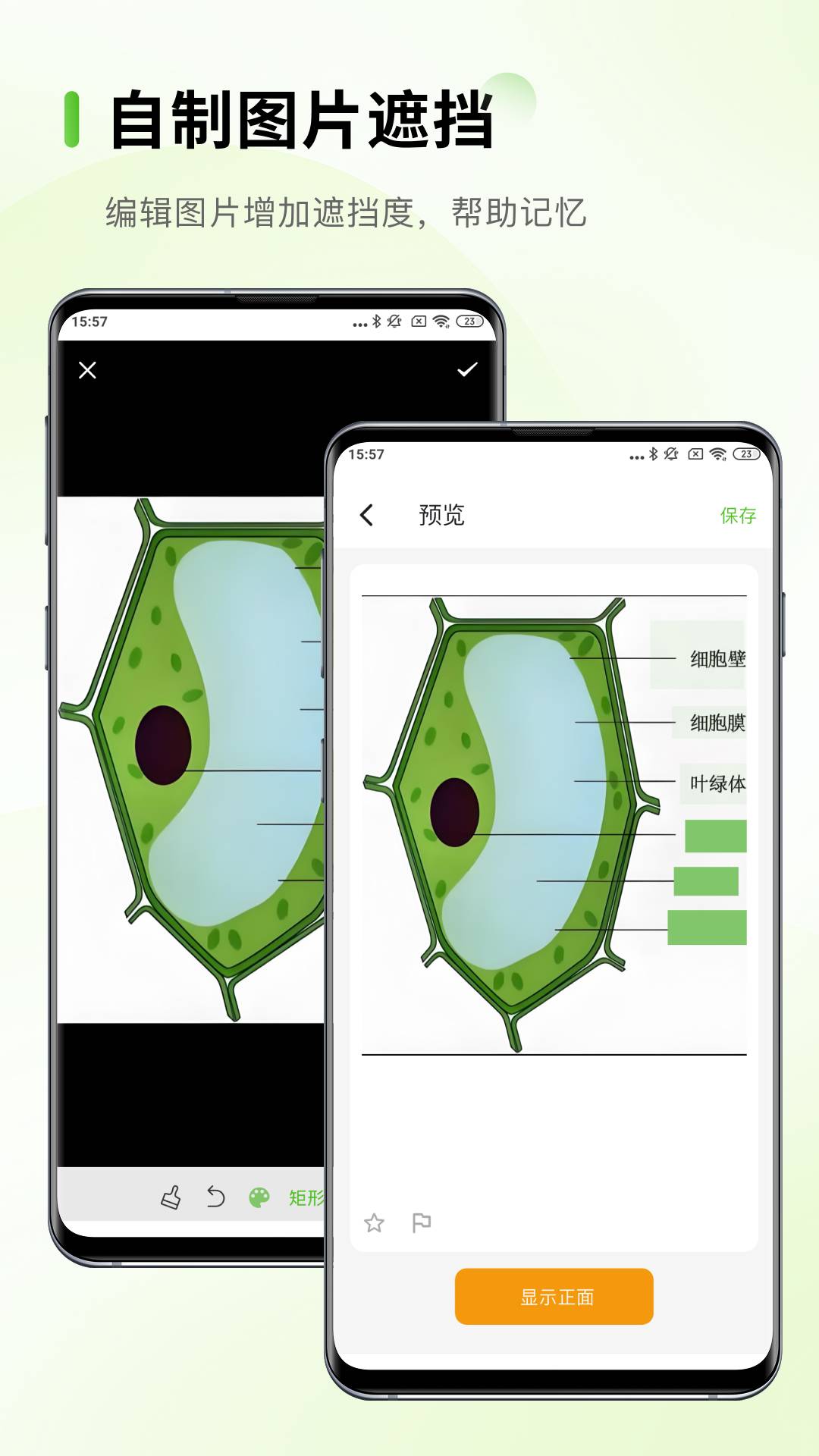 Anymo图3