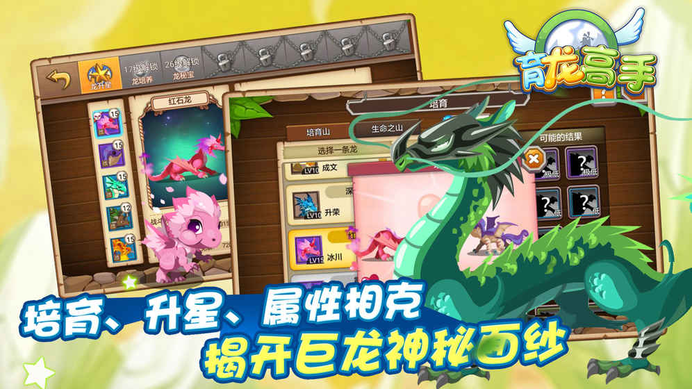 育龙高手4