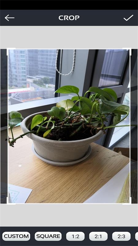 激发你的灵感通用版图1