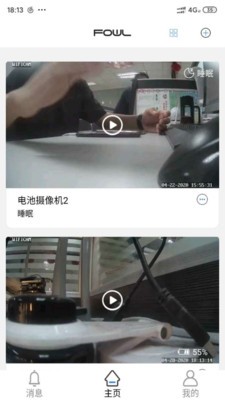 FOWL官方正版图4