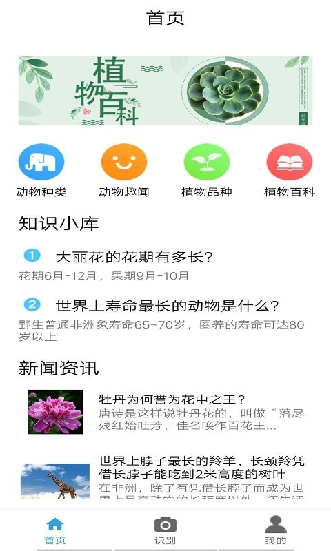 桃桃识植物(3)