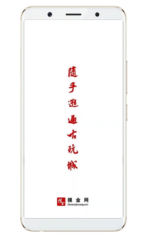 摸金网图4