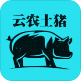 云农土猪正版