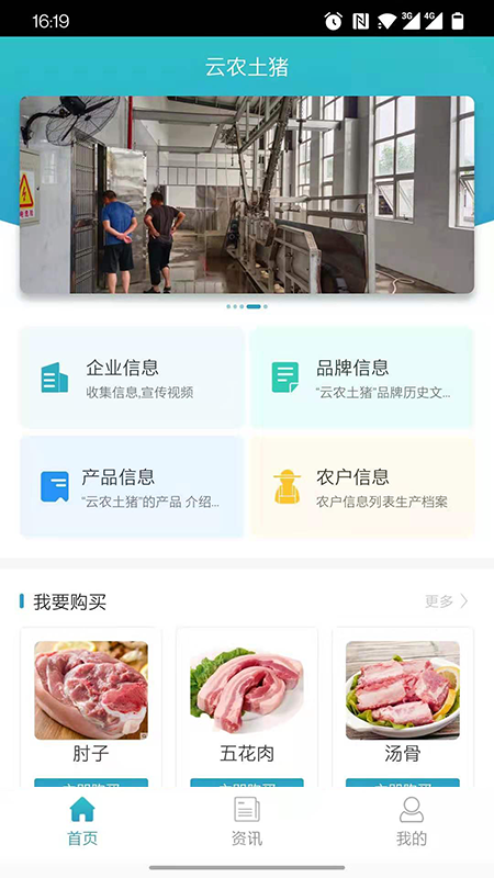 云农土猪正版图1
