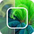 数创模糊照片修复手机版