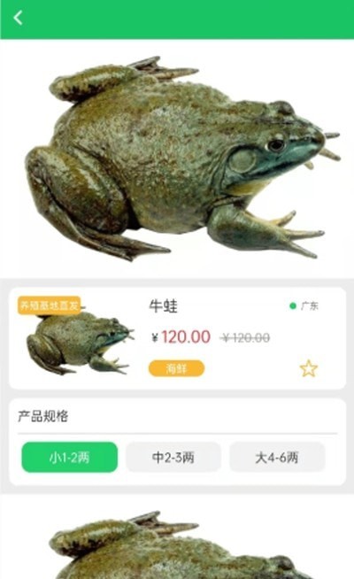 晓能批发图1