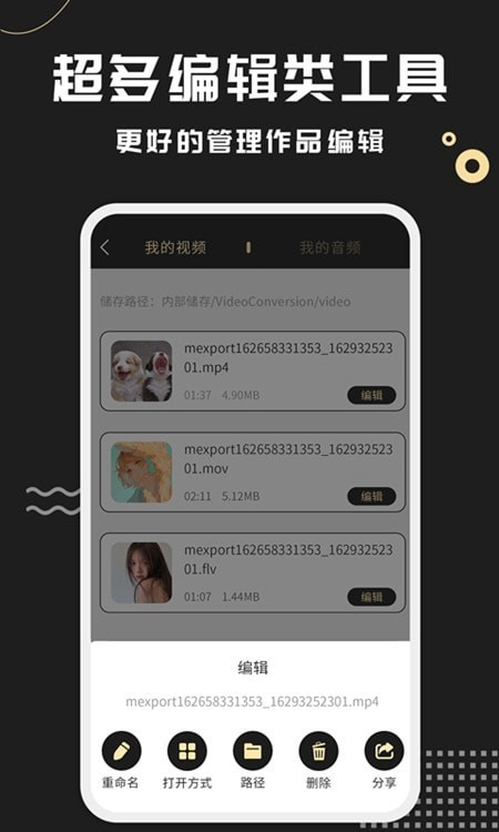 视频格式转化王图2
