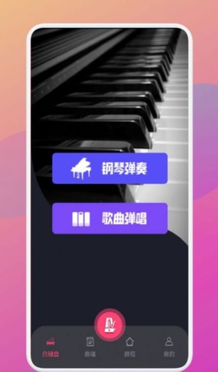金曲乐刷刷