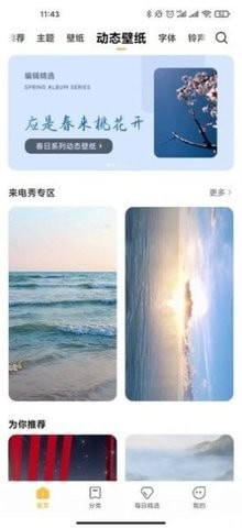 个性主题(3)