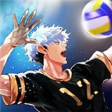 排球故事本官方版