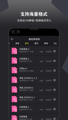 卷音录音机安卓免费版图2