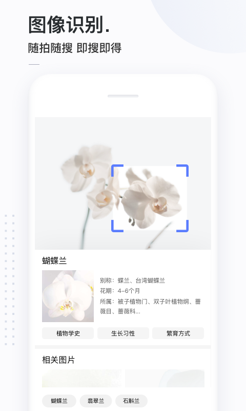 简单搜索原版