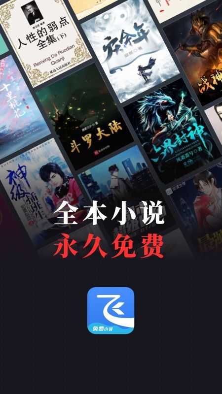 飞读小说(1)