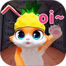 猫猫喵喵喵