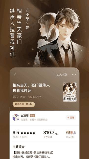 番茄小说安卓版