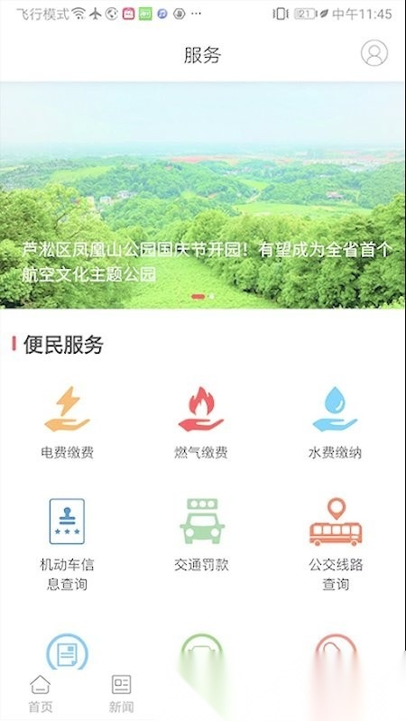 掌上芦淞