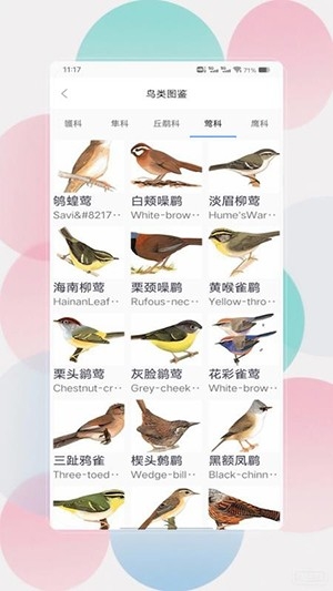 鸟语翻译器prt中文版图3