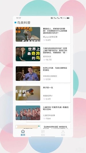 鸟语翻译器prt中文版图2