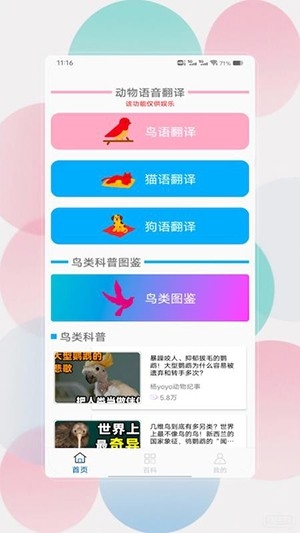 鸟语翻译器prt中文版图4