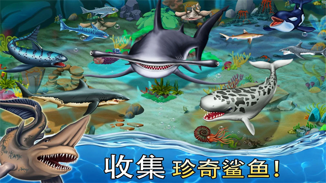 鲨鱼世界手机版图1