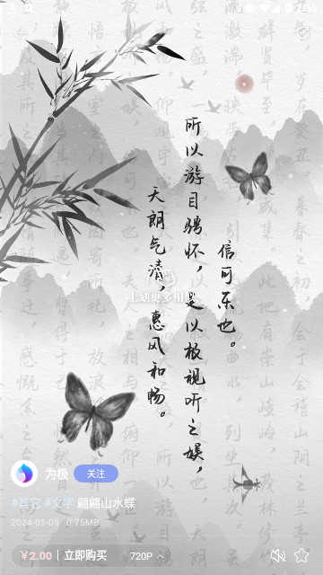极壁纸正版图4