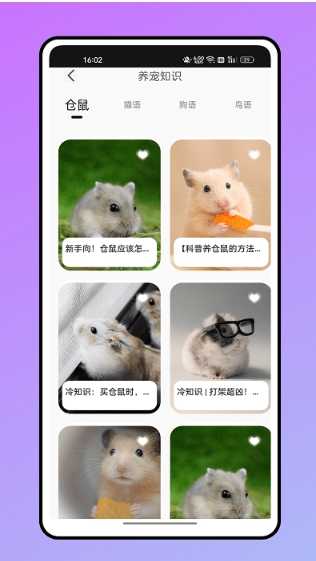 仓鼠翻译器手机版