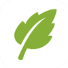 sgreen浏览器最新版