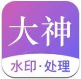 大神水印手机正版