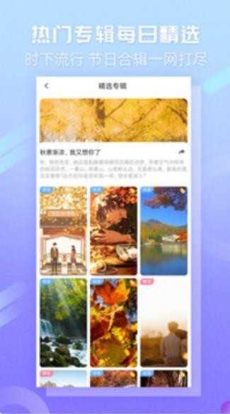 嘀嗒壁纸官方最新版