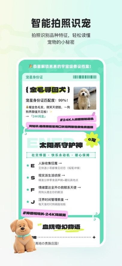 宠拍档软件通用版图3