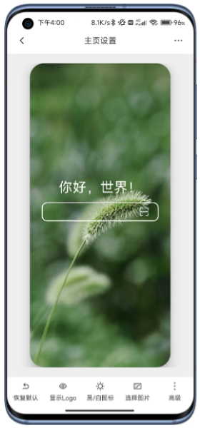 B仔浏览器直装版
