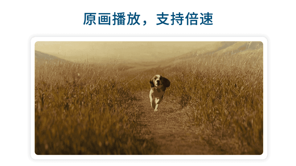飞鸟免费版图4