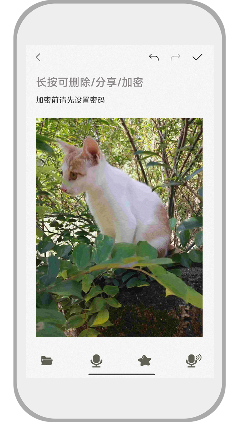速记备忘录安卓免费版