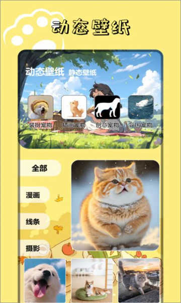 9534乐园图2