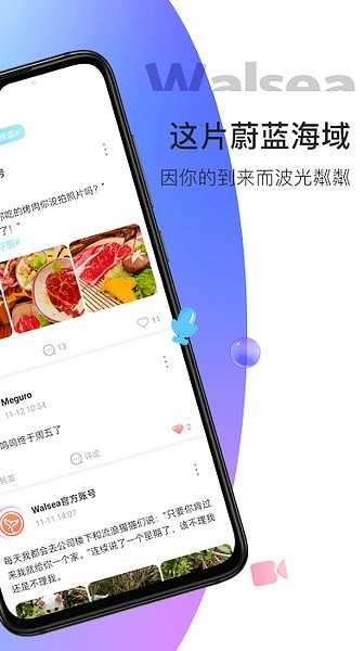 Walsea手机免费版