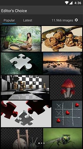 pixabay(1)