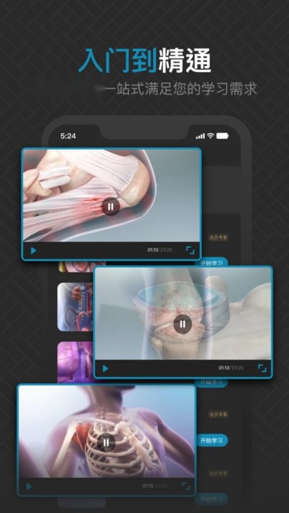 3d肌肉解剖手机版图2
